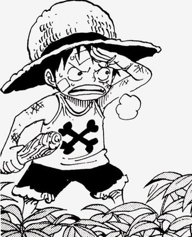One Piece Black and White PFP