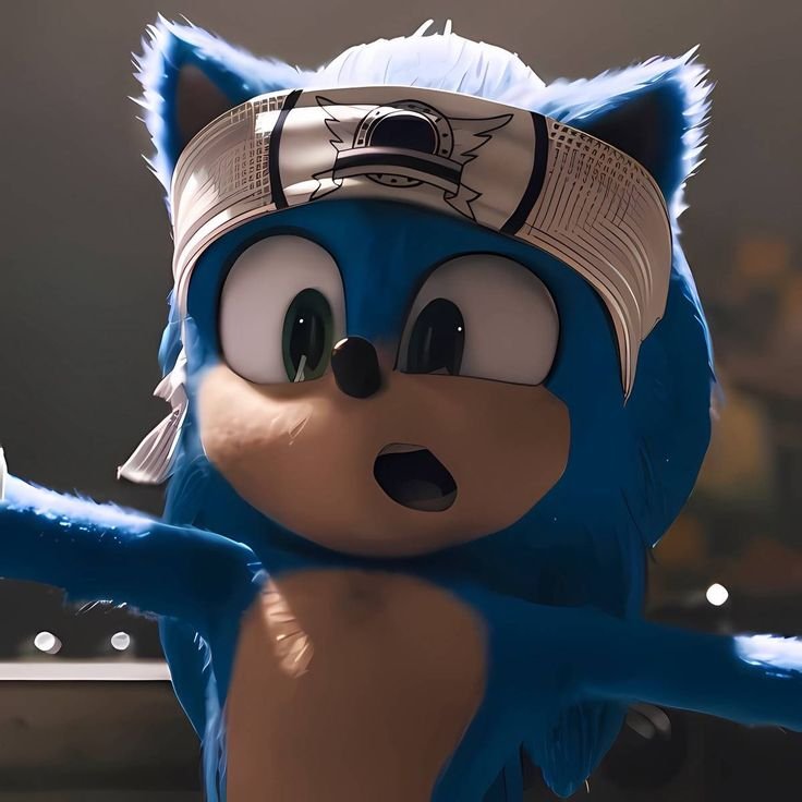 Cool Sonic PFP Aesthetic