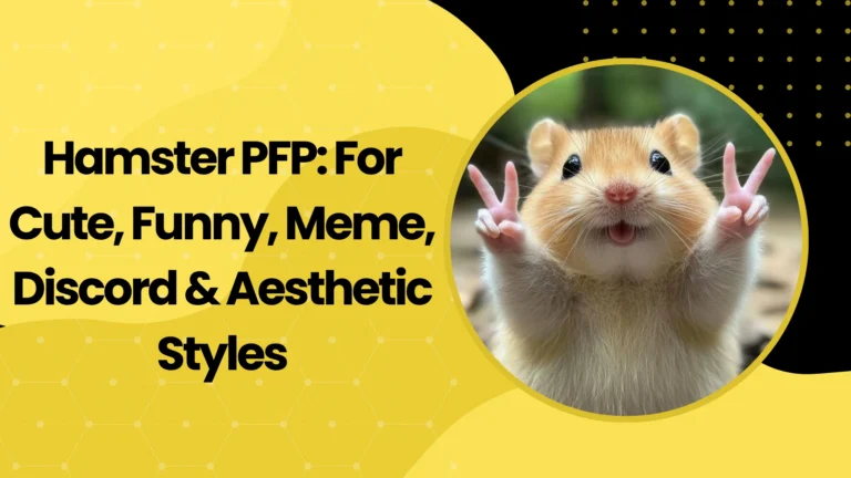 Hamster PFP