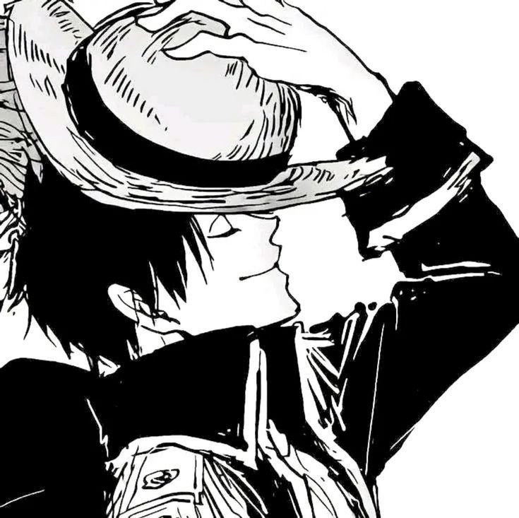 Luffy black and white pfp