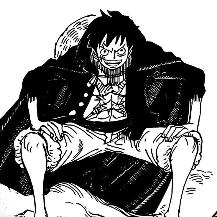 Luffy black and white pfp