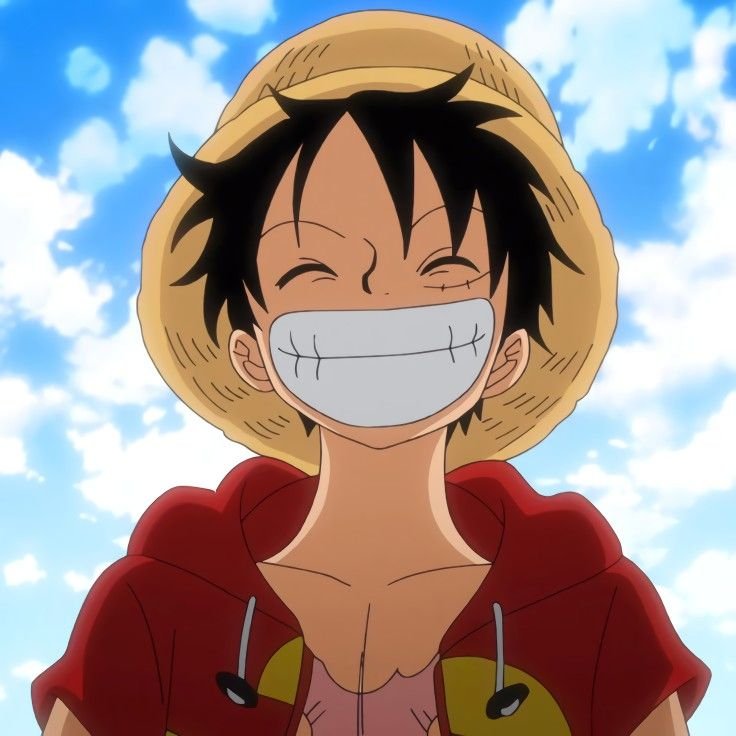 Luffy smiling pfp