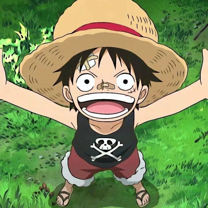 One Piece PFP Boy