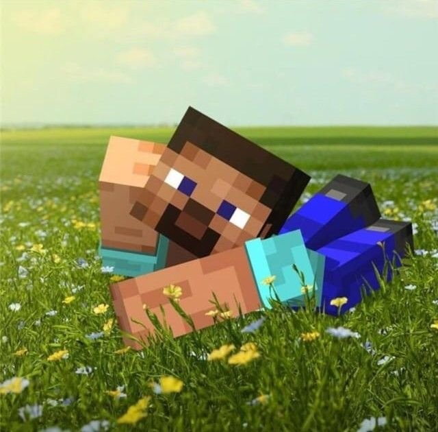 Funny Minecraft PFP