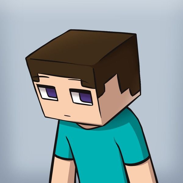Steve Minecraft PFP