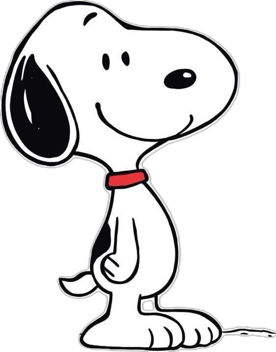 Snoopy PFP Aesthetic Cute