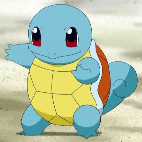 Pokemon PFP Squirtle