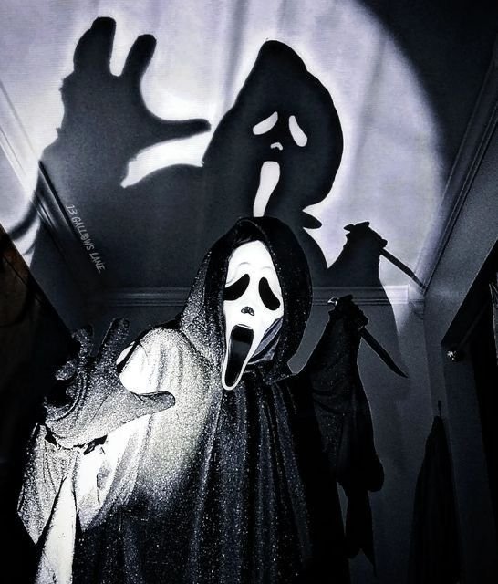 Ghostface PFP Black and White