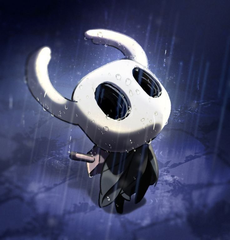 Hollow knight pfp cute