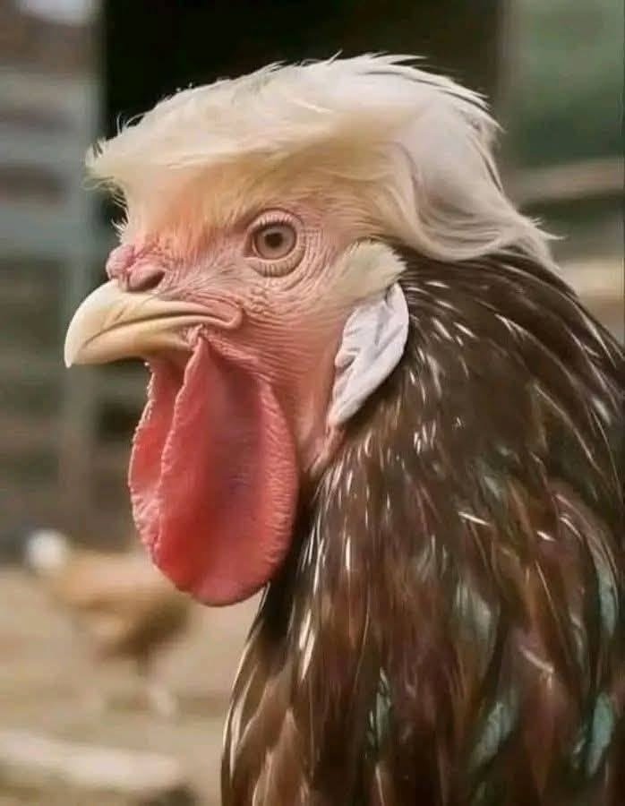 Goofy Ahh PFP for Discord