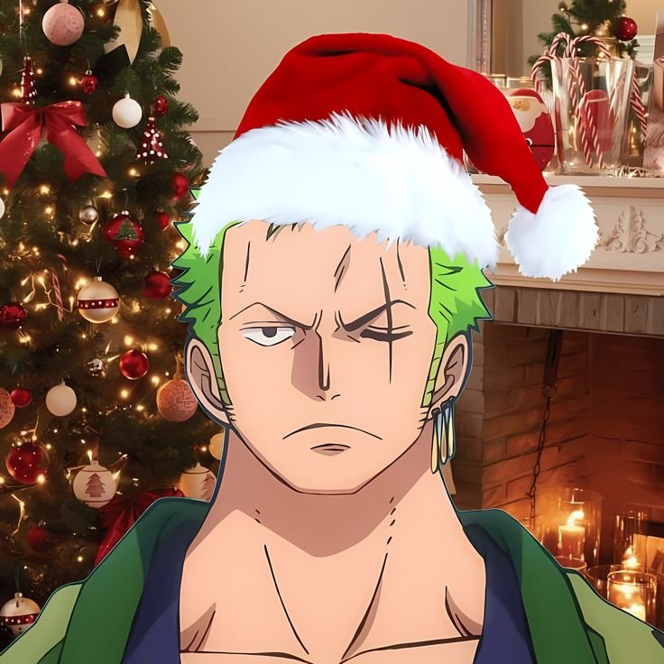 Zoro PFP Christmas