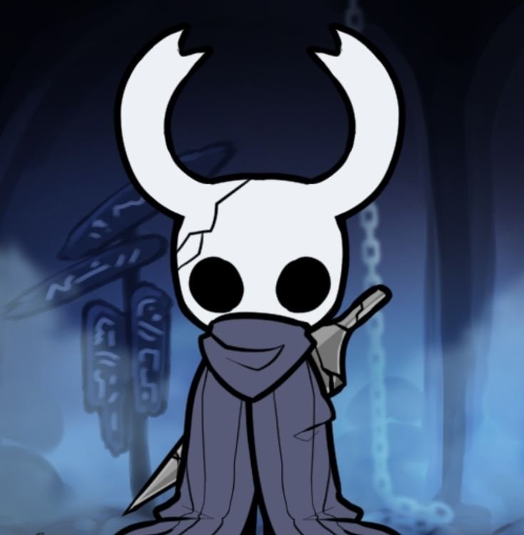 Hollow knight pfp pinterest
