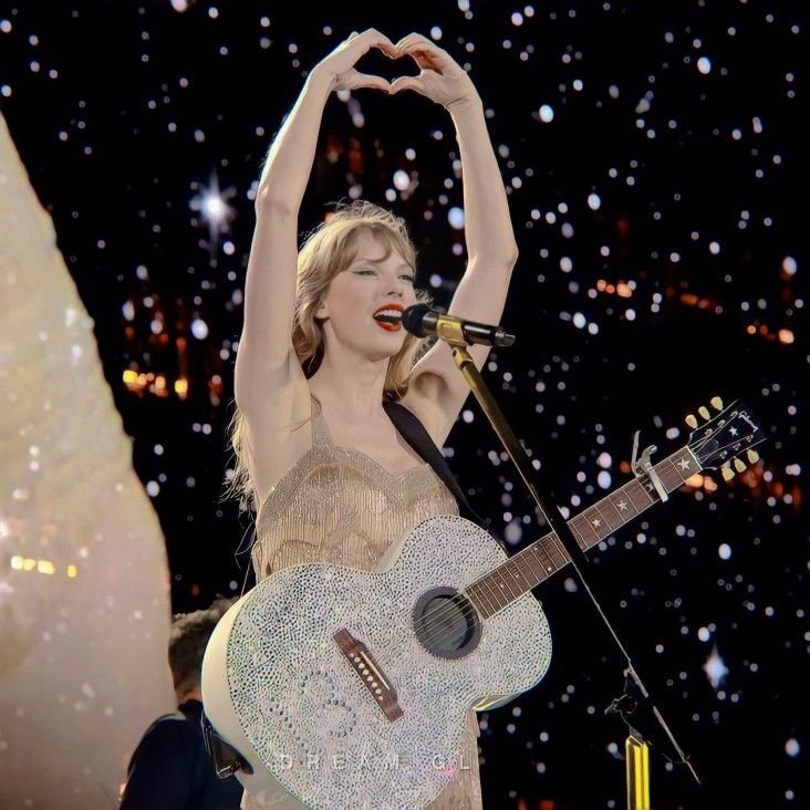 Taylor Swift PFP Concert