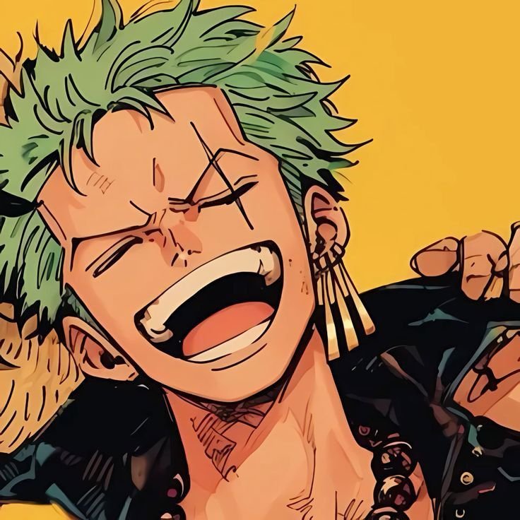 Zoro PFP Funny