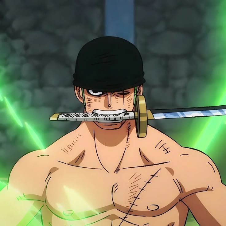 Zoro PFP Boy