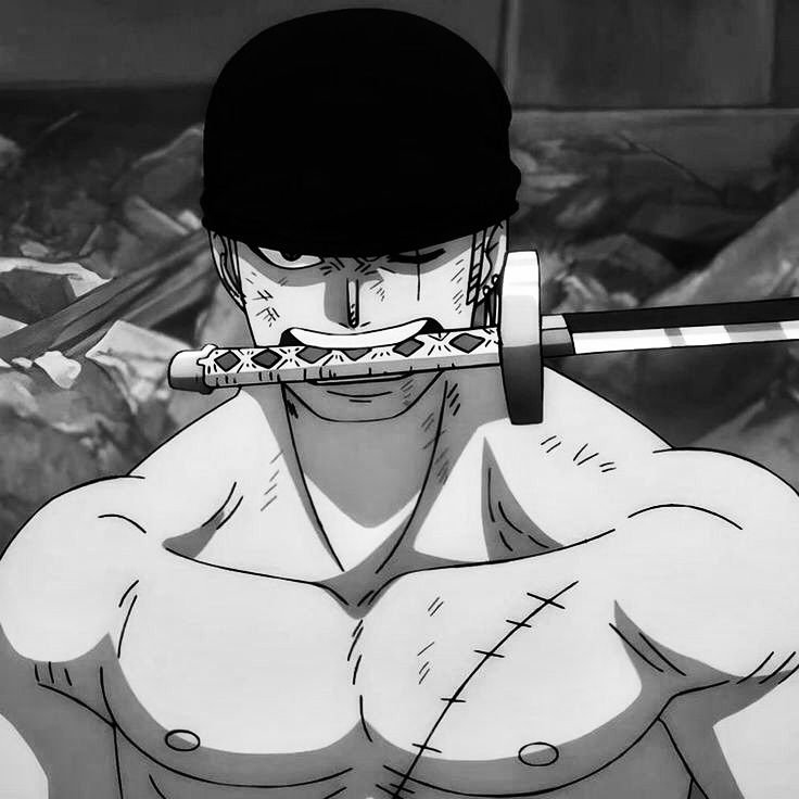 Zoro PFP Manga