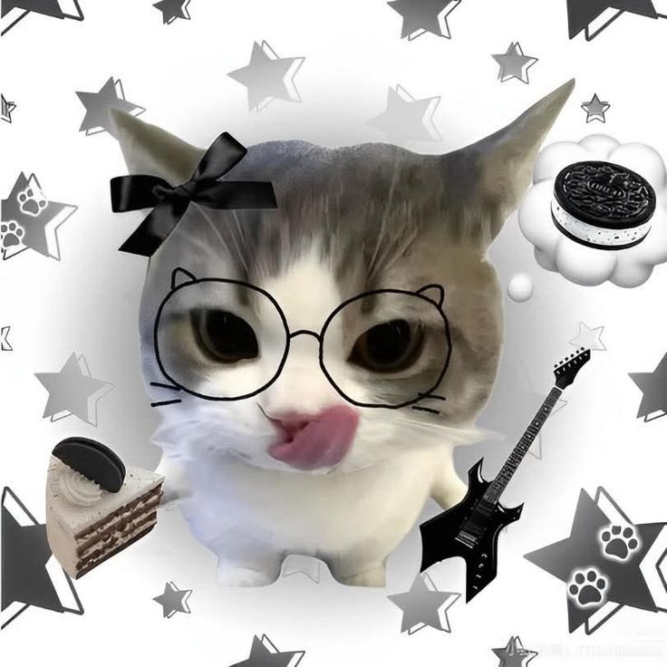 Cute PFP Cat