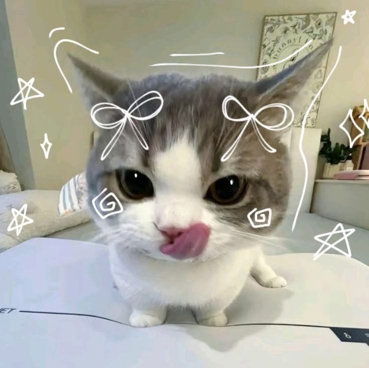 Cute PFP Cat