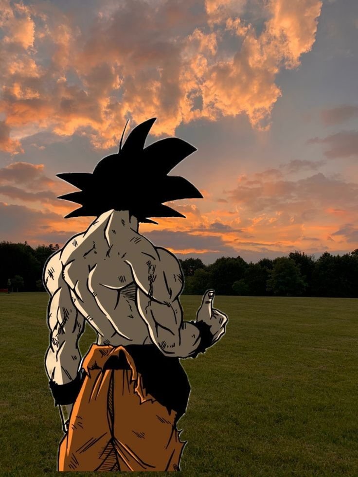 Goku pfp aesthetic