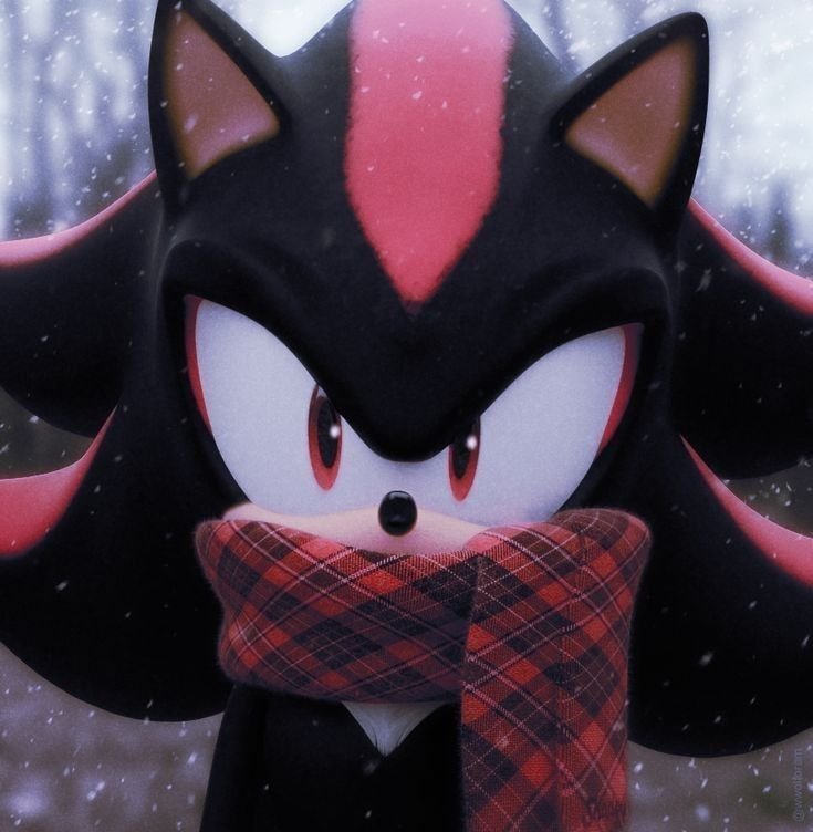 Shadow PFP Christmas