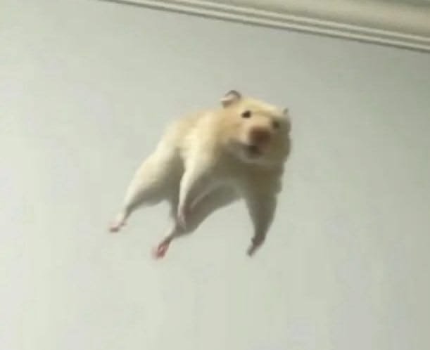 Goofy Hamster PFP