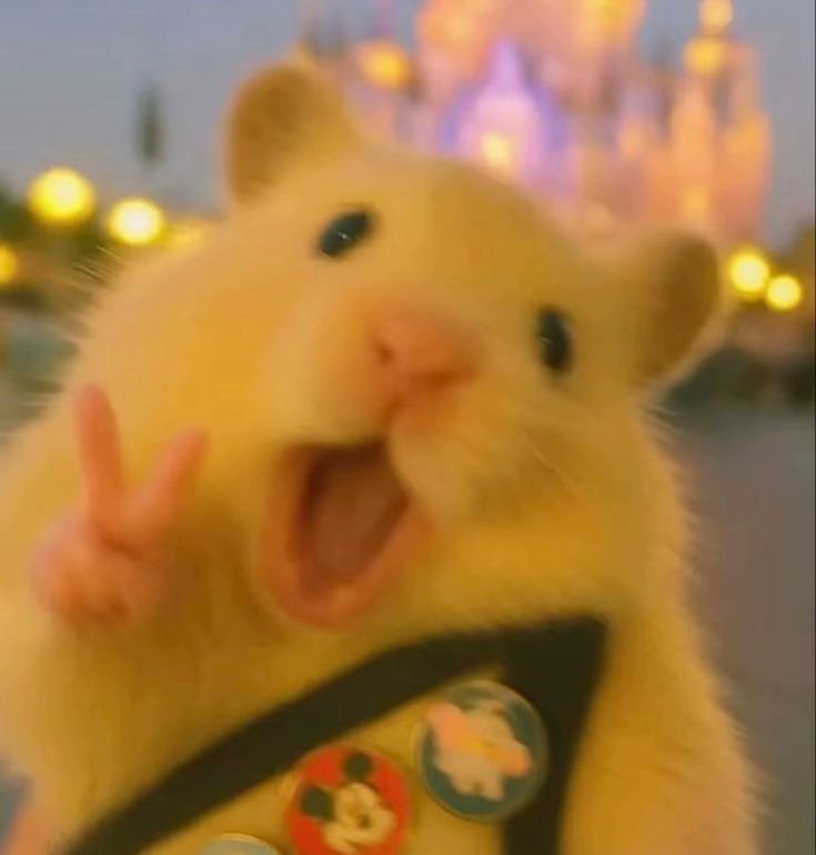Aesthetic Hamster PFP