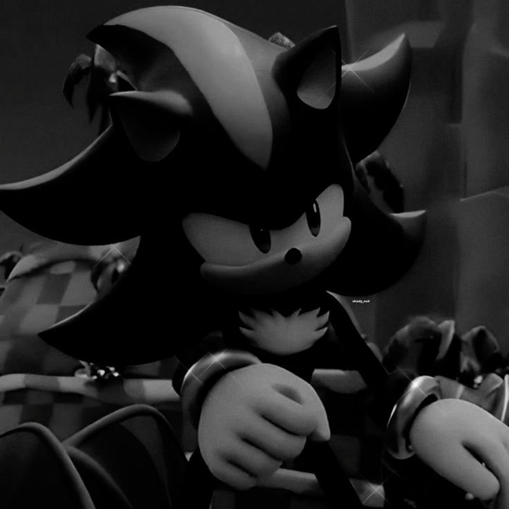 Shadow PFP Black and White
