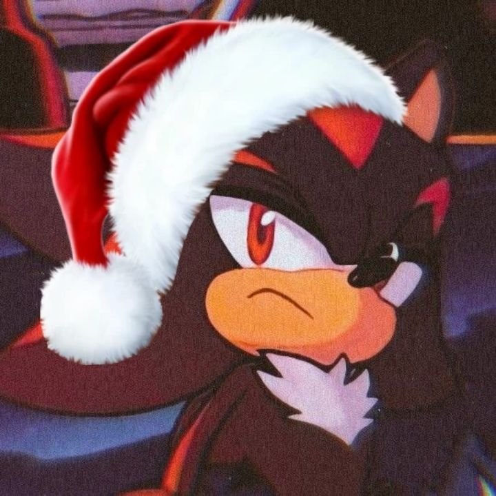 Shadow PFP Christmas