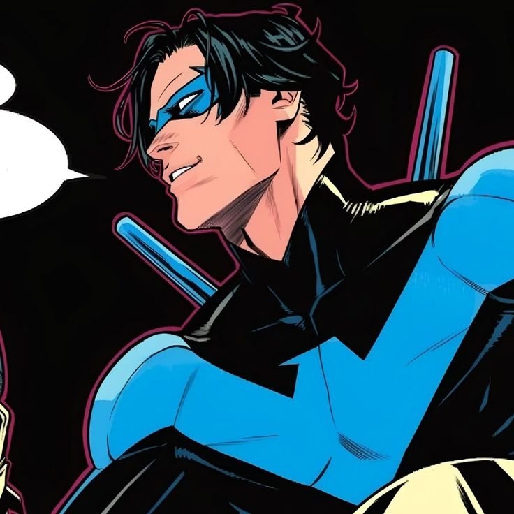 Nightwing PFP Aesthetic