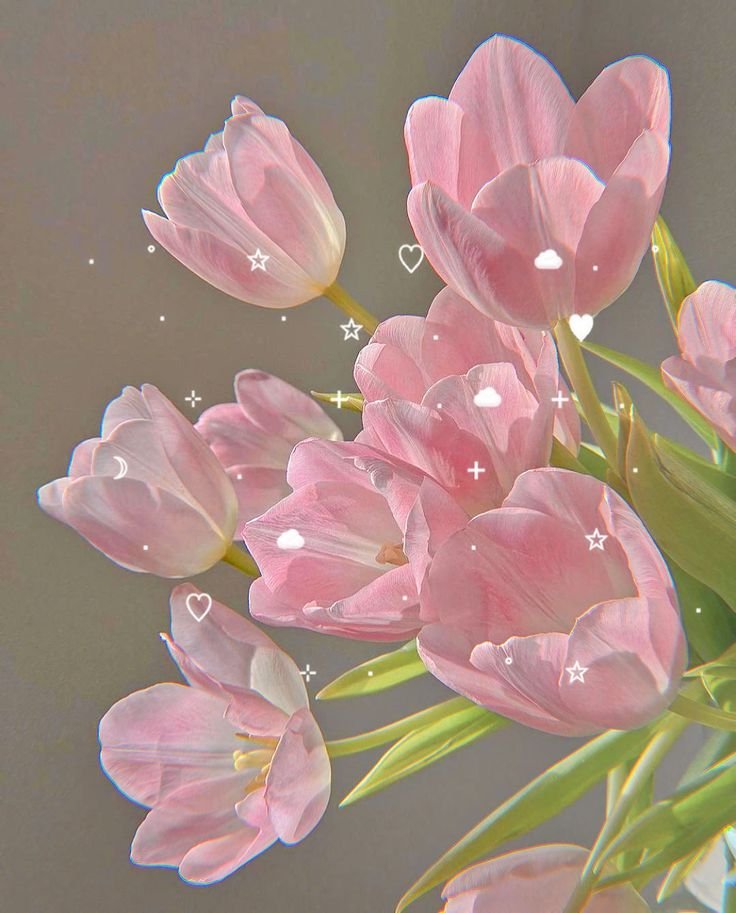 Aesthetic Flower PFP Pinterest