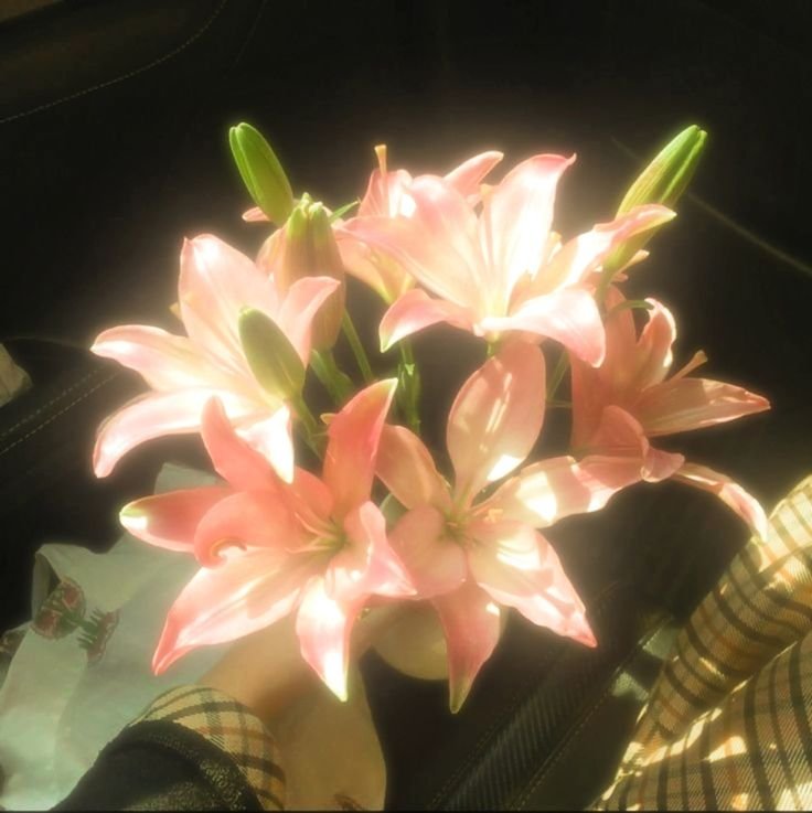 Aesthetic Flower PFP Pinterest