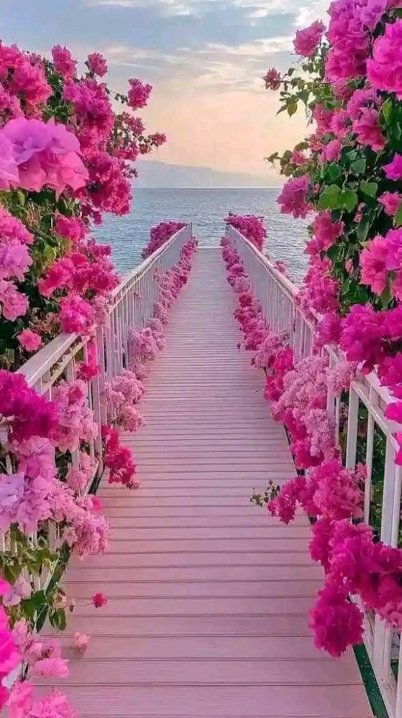 Aesthetic Flower Profile Picture