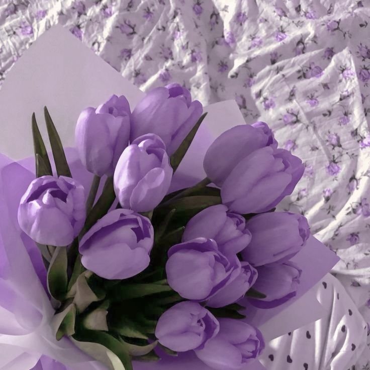 Aesthetic Purple Flower PFP