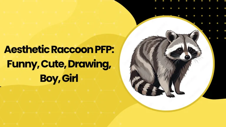 Aesthetic Raccoon PFP