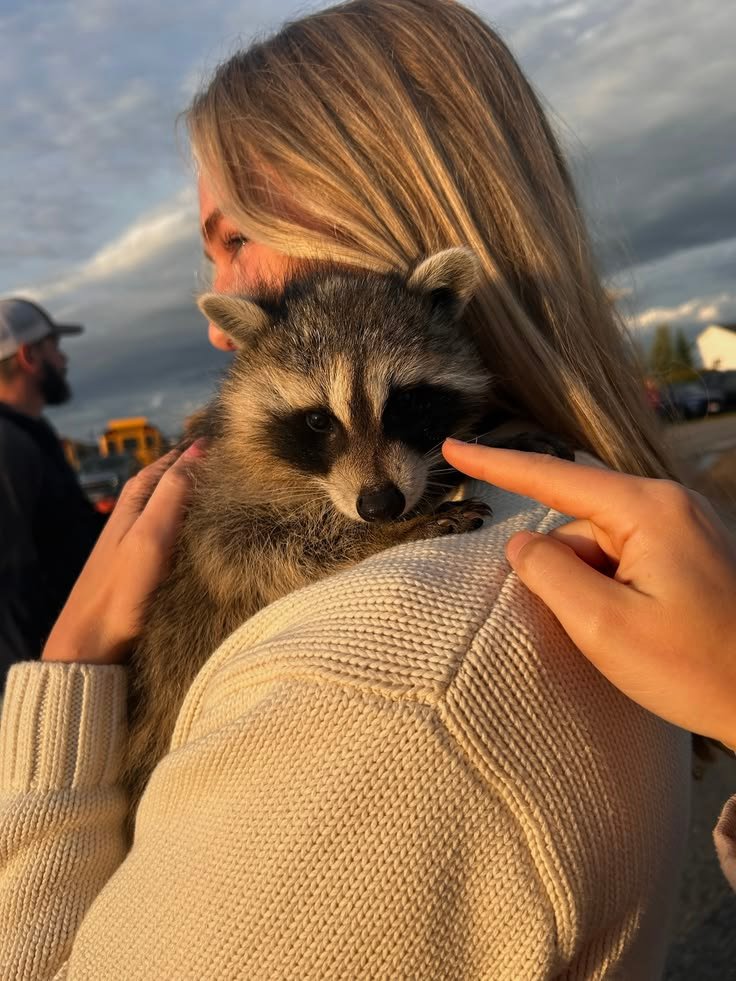 Aesthetic Raccoon PFP Girl