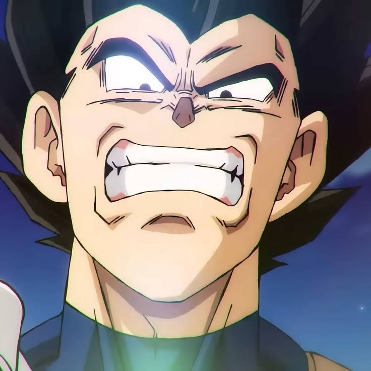 Angry Vegeta PFP