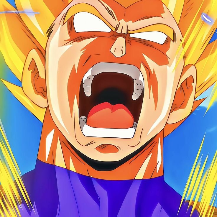 Angry Vegeta PFP