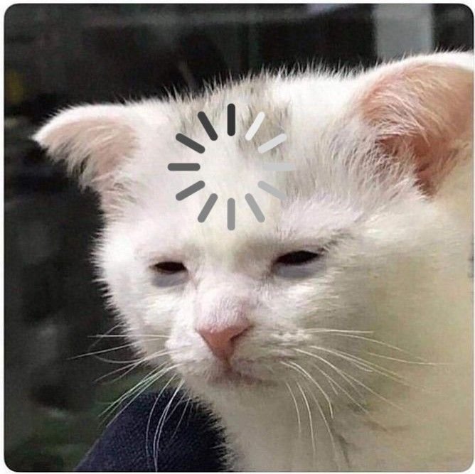 Coughing Cat Meme PFP Silly