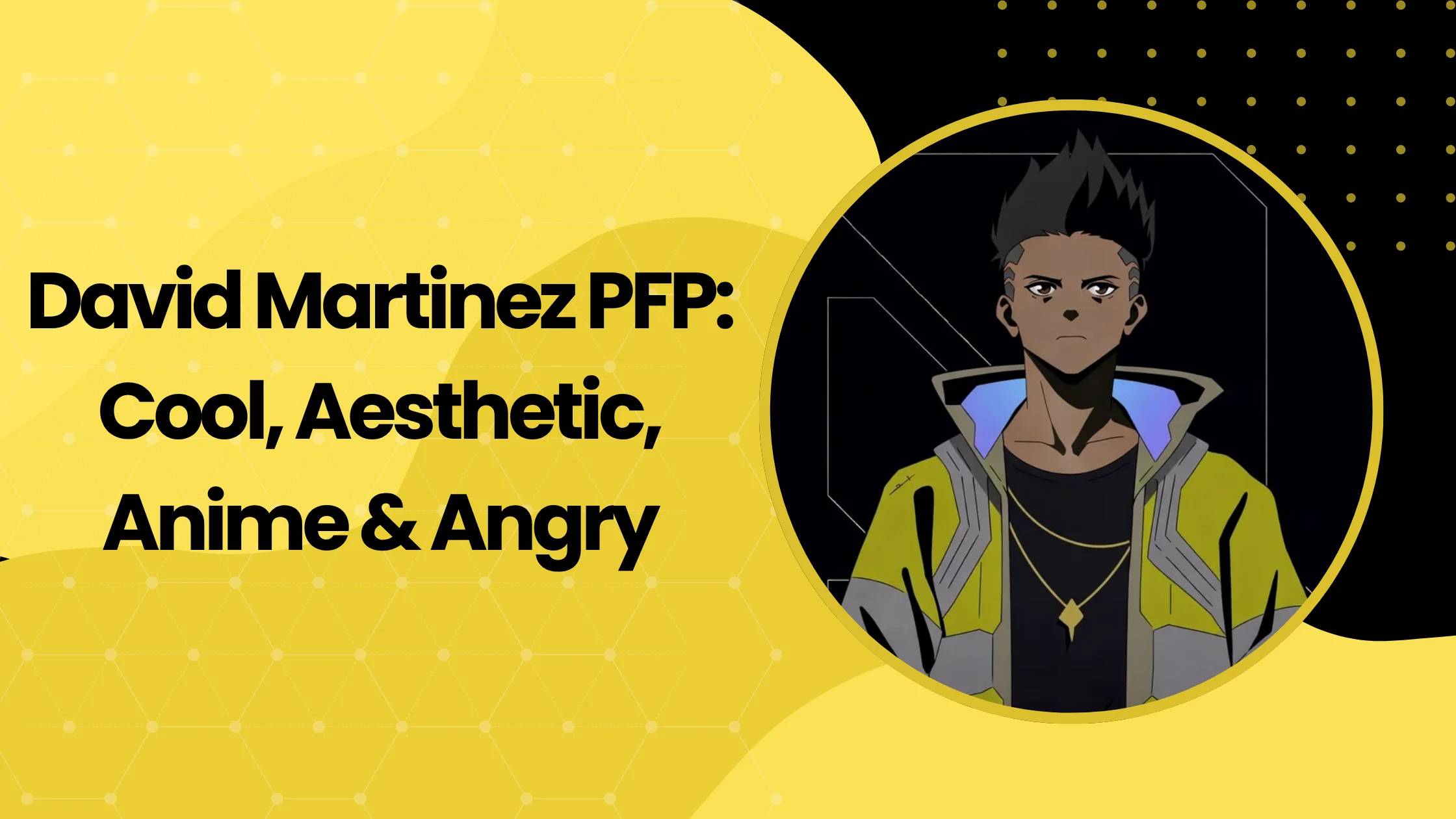 David Martinez PFP