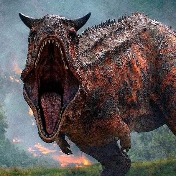 Dinosaur PFP Aesthetic