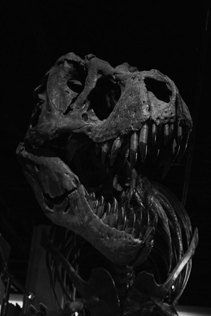 Dinosaur PFP Black And White