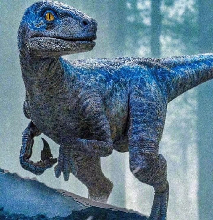 Dinosaur PFP HD