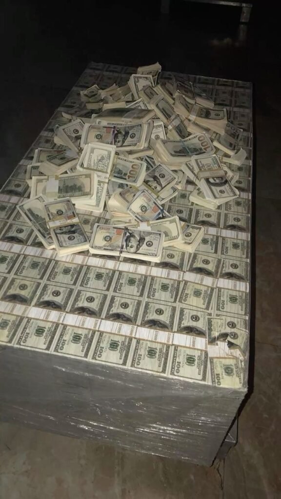 Dollar Money PFP