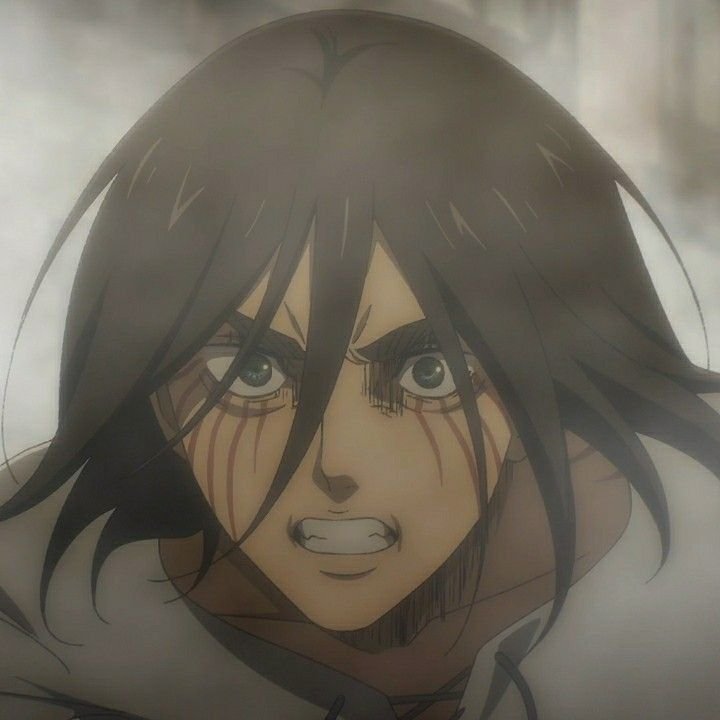 Eren PFP Angry