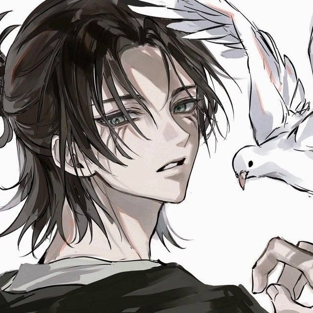 Eren PFP Cool
