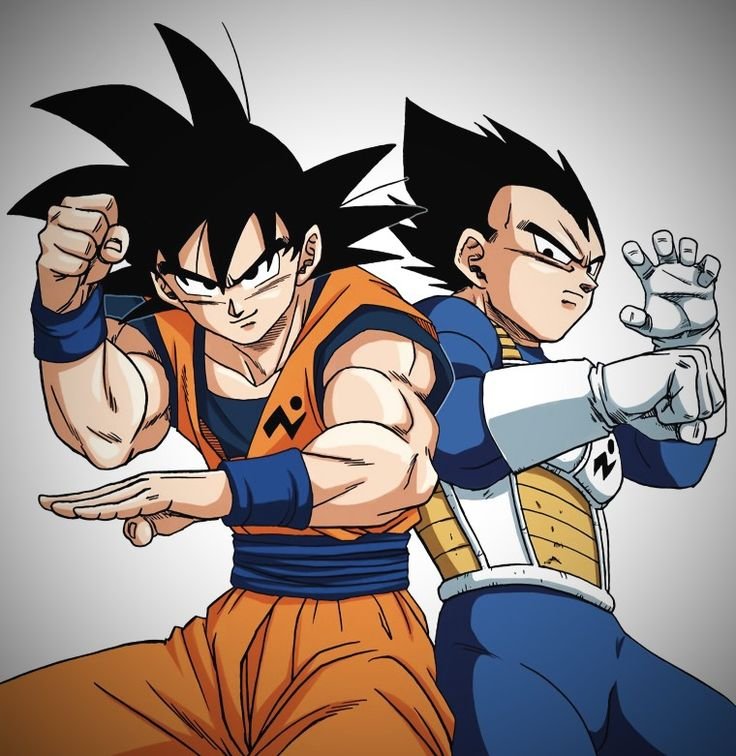 Goku And Vegeta PFP