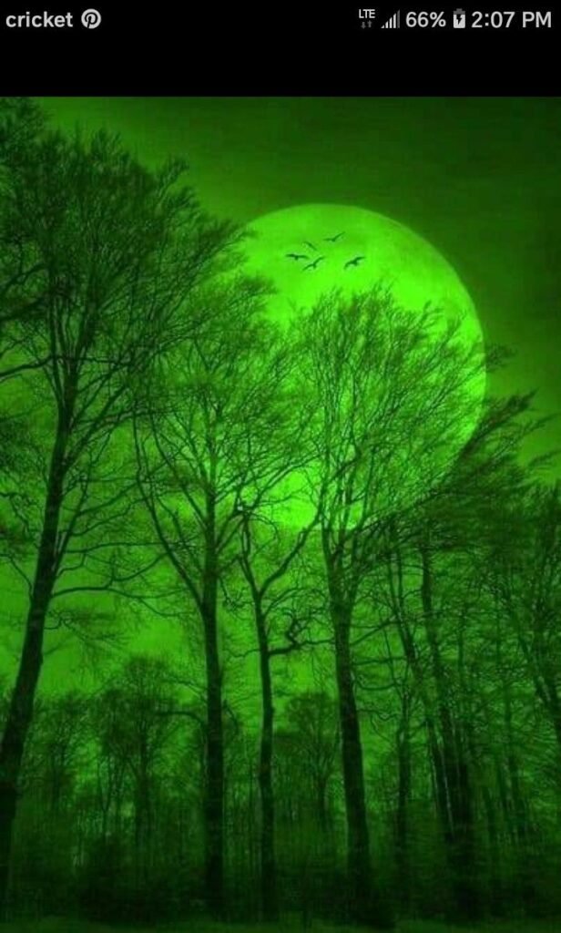 Green Nature PFP