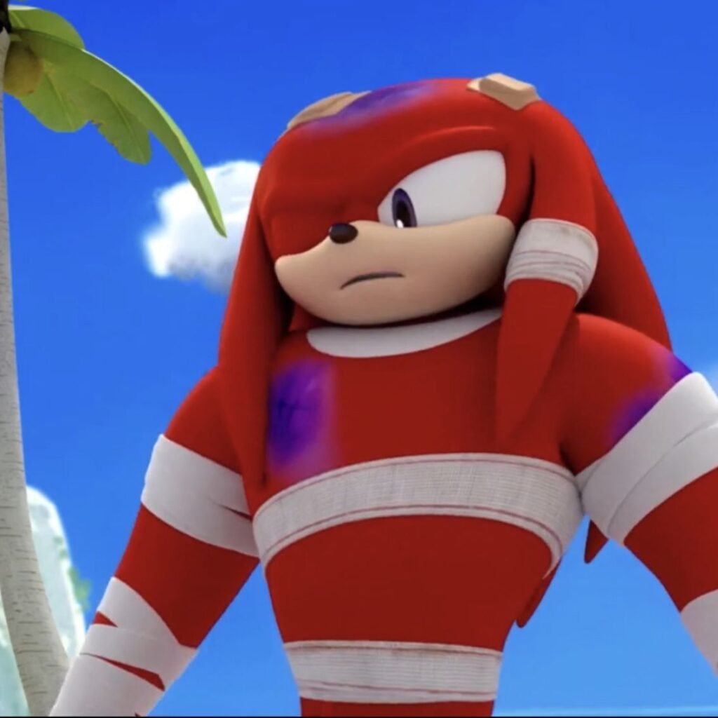 Knuckles PFP Funny