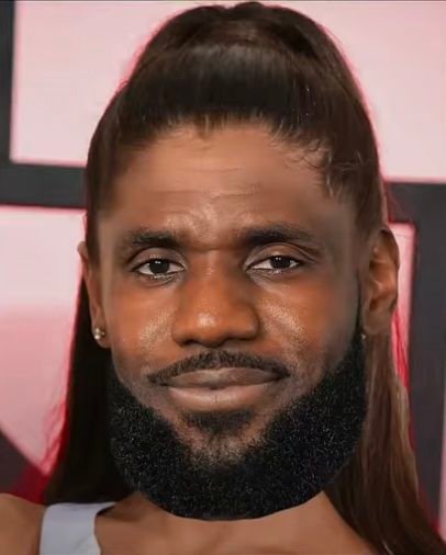 LeBron PFP Meme