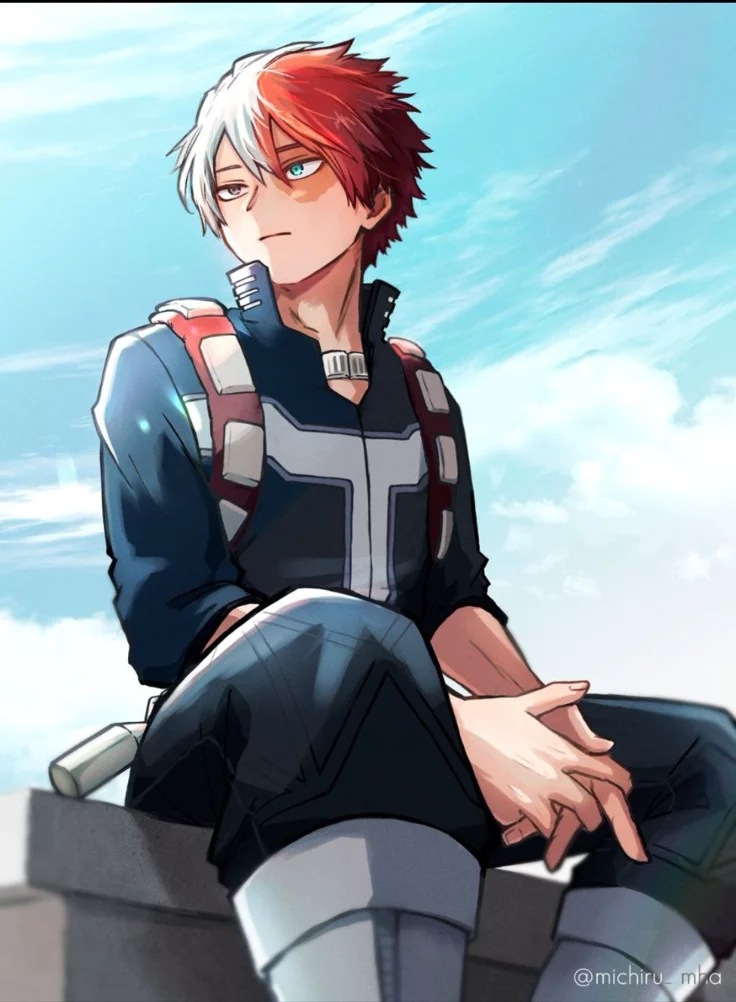 MHA Todoroki PFP